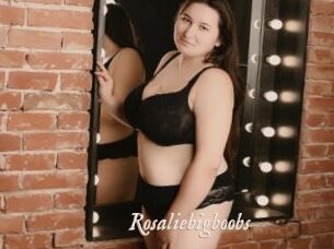 Rosaliebigboobs