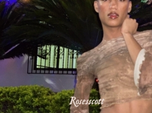 rosesscott Chobix 