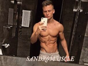 SANDRO_MUSCLE