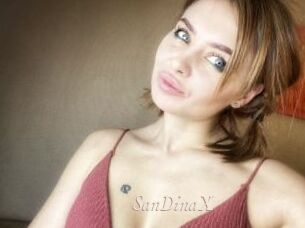 SanDinaX