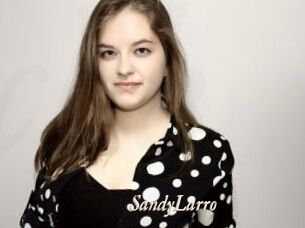 SandyLarro