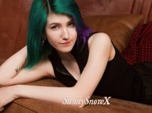 SandySnowX