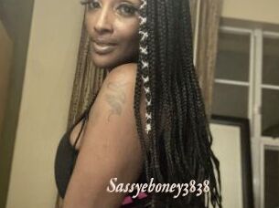 Sassyeboney3838