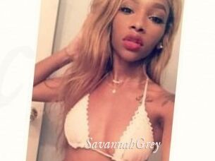 Savannah_Grey