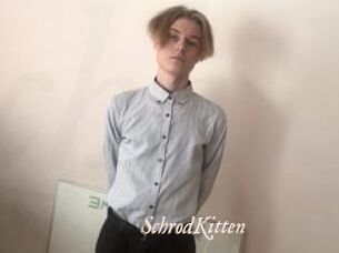 SchrodKitten