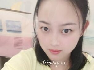 Scindapsus