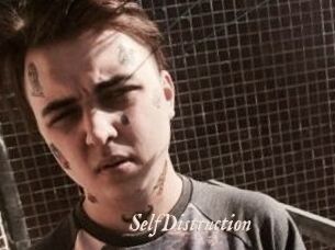 SelfDistruction