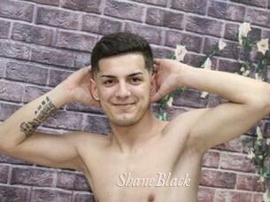 ShaneBlack