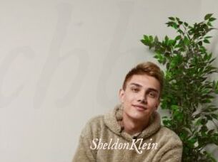 SheldonKlein
