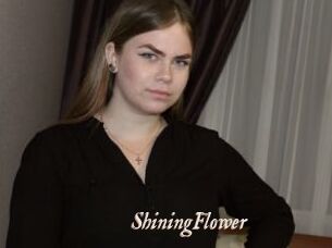ShiningFlower