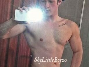 ShyLittleBoy20