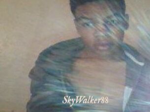 SkyWalker88