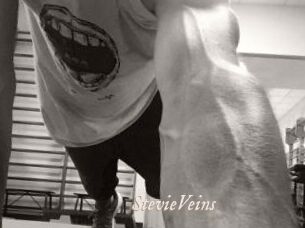 StevieVeins