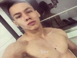 Stier