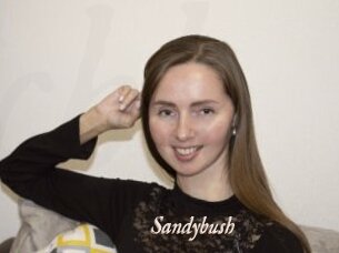 Sandybush