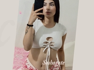 Sashagate