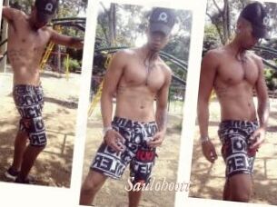 Saulohoott