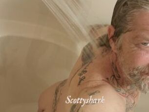 Scottyshark