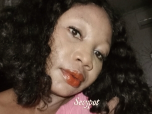 Secypot