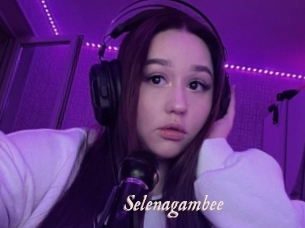 Selenagambee