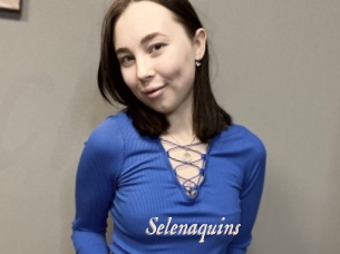Selenaquins