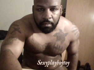 Sexyplayboytoy