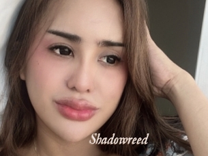 Shadowreed