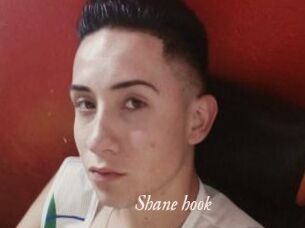 Shane_hook