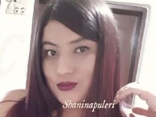 Shaninapuleri