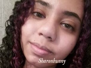 Sharonbunny