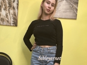 Sibleyarnet