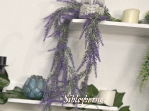 Sibleyberner