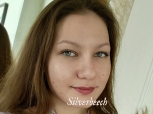 Silverbeech