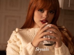 Skynabi