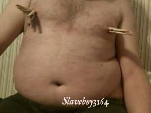 Slaveboy3164