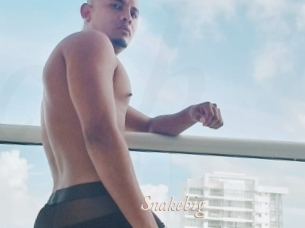 snakebig Chobix 