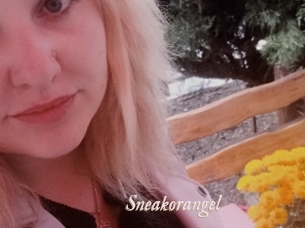 Sneakorangel