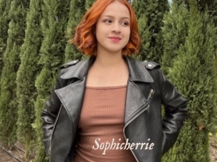 Sophicherrie