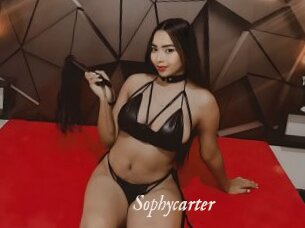Sophycarter