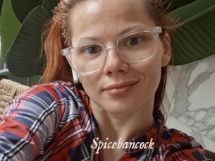 Spicebancock