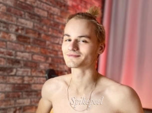Spikepoel