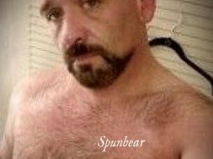 Spunbear