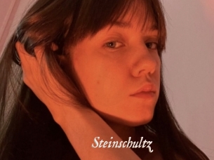 Steinschultz