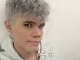 Stivengil