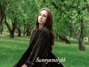 Sunnyamelybb