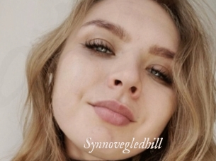 Synnovegledhill