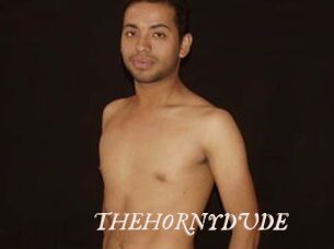 THEHORNYDUDE