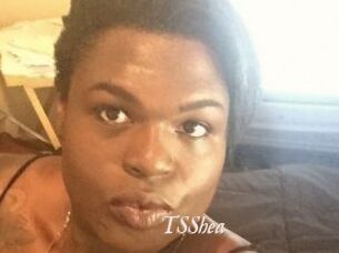 TS_Shea