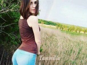 Tammilla_
