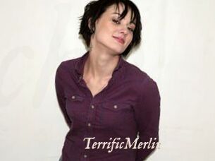 TerrificMerlin